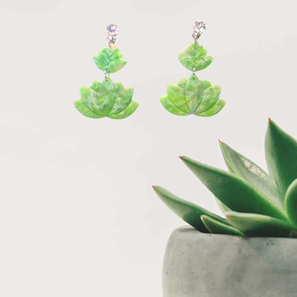 [SUCCULENTES ÉMERAUDE] Succulentes Émeraude