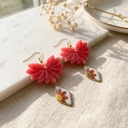 Jardin de Corail